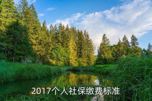 2017個人社保繳費標準