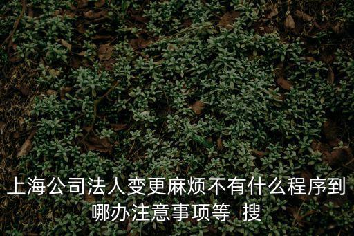 上海公司法人變更麻煩不有什么程序到哪辦注意事項等  搜