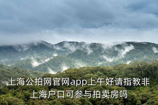 上海公拍網官網app上午好請指教非上海戶口可參與拍賣房嗎