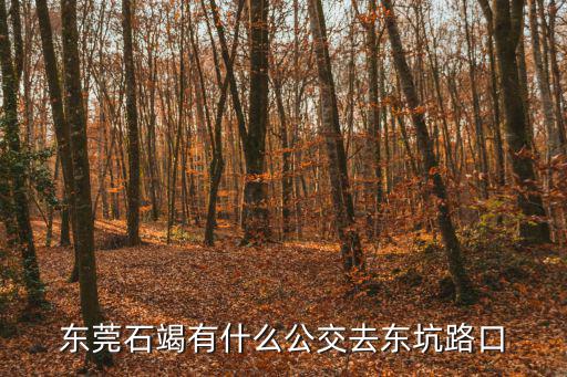 東莞高步到東坑鎮(zhèn)府坐幾路車(chē)，東莞石竭有什么公交去東坑路口