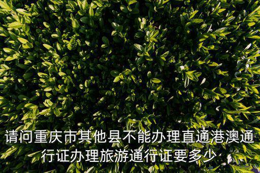 請問重慶市其他縣不能辦理直通港澳通行證辦理旅游通行證要多少