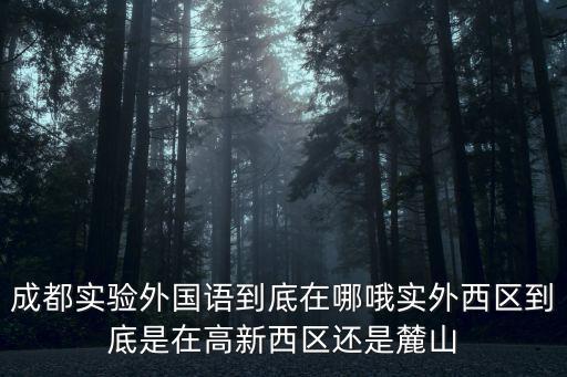 成都市高新區(qū)錦輝小學(xué)宣傳片，成都高新區(qū)桂溪第一小學(xué)益州小學(xué)好不好