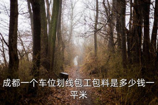 成都一個車位劃線包工包料是多少錢一平米
