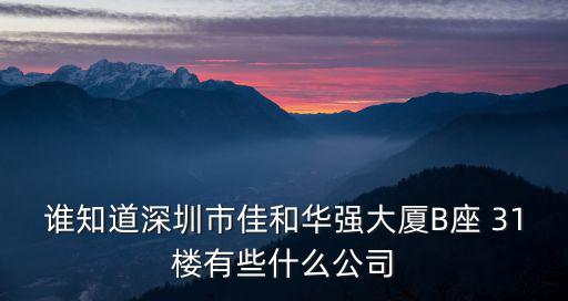 誰知道深圳市佳和華強(qiáng)大廈B座 31樓有些什么公司
