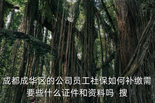成都市社保局補繳表，我買的是成都市社保補交在什么地方補交
