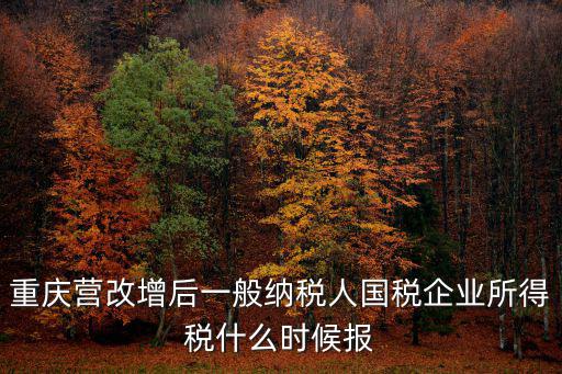 重慶市國稅申報時間表，重慶營改增后一般納稅人國稅企業所得稅什么時候報