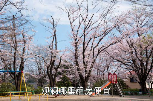 觀瀾哪里租房便宜