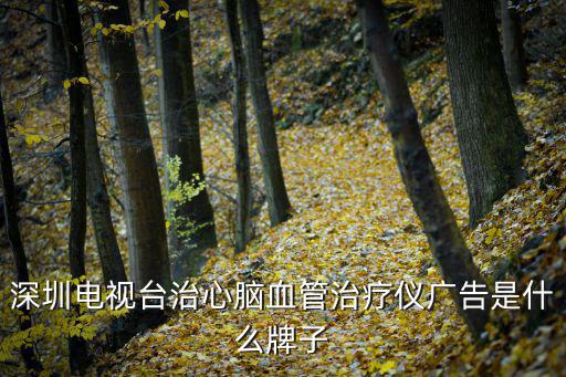深圳電視臺治心腦血管治療儀廣告是什么牌子