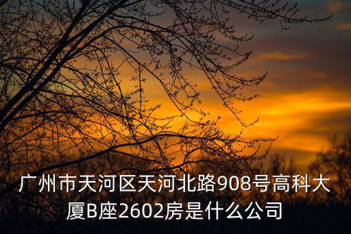 廣州市天河區(qū)天河北路908號(hào)高科大廈B座2602房是什么公司