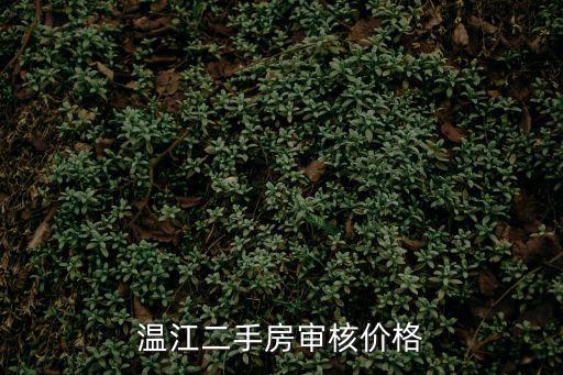 溫江二手房審核價格