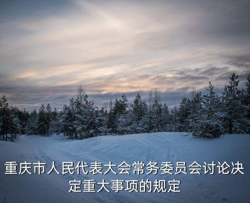 重慶市人民代表大會(huì)常務(wù)委員會(huì)討論決定重大事項(xiàng)的規(guī)定