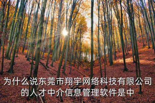 為什么說東莞市翔宇網絡科技有限公司的人才中介信息管理軟件是中
