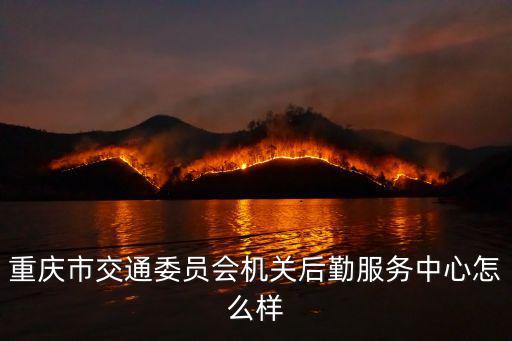 重慶市交委運調科科長，重慶市區運管處是什么級別
