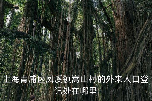 上海青浦區鳳溪鎮嵩山村的外來人口登記處在哪里