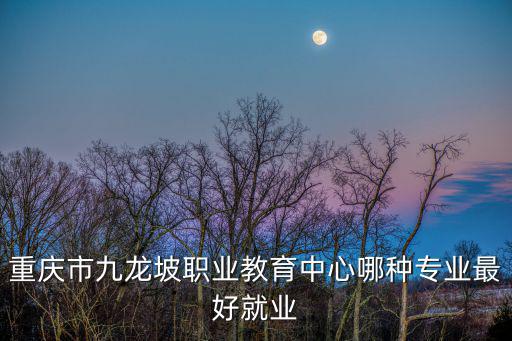 重慶市九龍坡區就業，重慶市九龍坡職業教育中心哪種專業最好就業