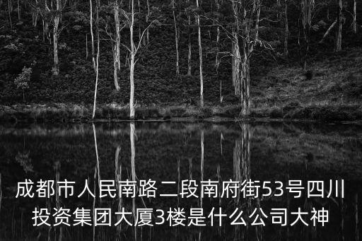 成都市人民南路二段南府街53號四川投資集團大廈3樓是什么公司大神