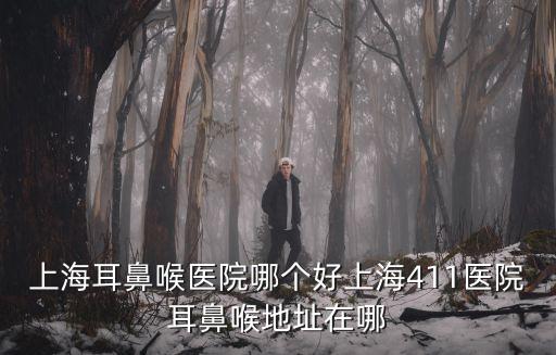 上海耳鼻喉醫院哪個好上海411醫院耳鼻喉地址在哪