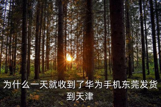為什么一天就收到了華為手機東莞發貨到天津