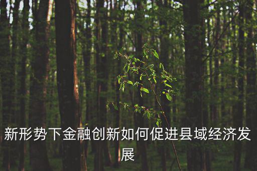 新形勢下金融創新如何促進縣域經濟發展