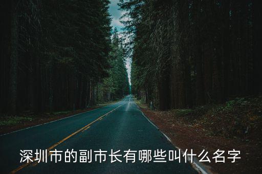 深圳市的副市長有哪些叫什么名字