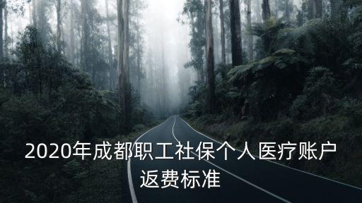 2020年成都職工社保個人醫療賬戶返費標準