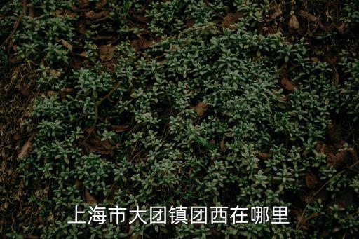上海市大團鎮西瓜，距上海比較近的西瓜產地在哪