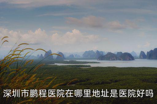 深圳市鵬程醫(yī)院在哪里地址是醫(yī)院好嗎