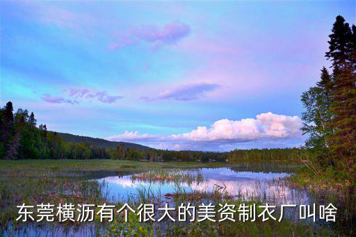 東莞橫瀝有個很大的美資制衣廠叫啥