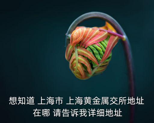 想知道 上海市 上海黃金屬交所地址 在哪 請告訴我詳細地址