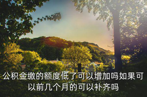 公積金繳的額度低了可以增加嗎如果可以前幾個(gè)月的可以補(bǔ)齊嗎
