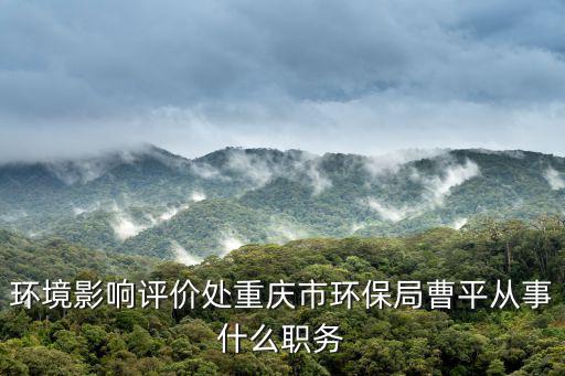 環境影響評價處重慶市環保局曹平從事什么職務
