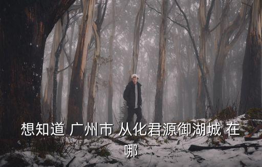 廣州御湖宮，廣州婦科醫院排名