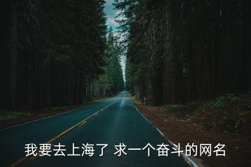 我要去上海了 求一個奮斗的網名