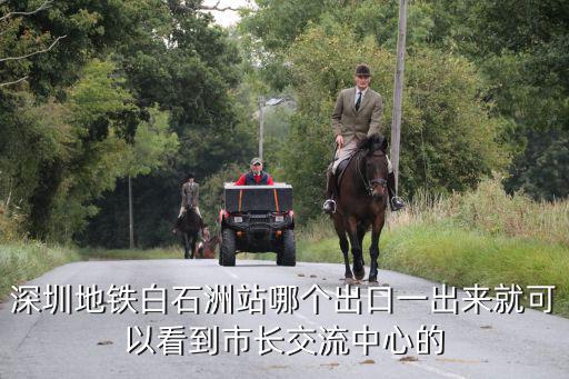 深圳南山白石洲世紀村，南山白石洲