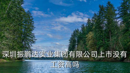 深圳振鵬達實業集團有限公司上市沒有工資高嗎