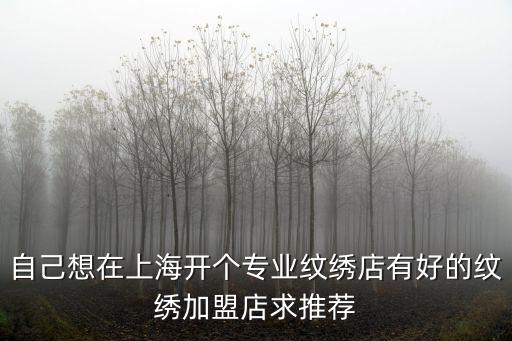 楊陽 上海市紋繡師，上海佳悅紋繡學校學費多少