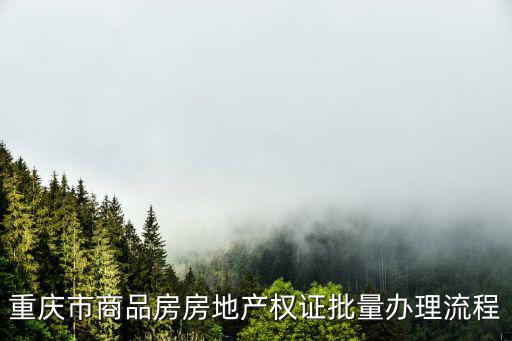 重慶市商品房房地產(chǎn)權(quán)證批量辦理流程