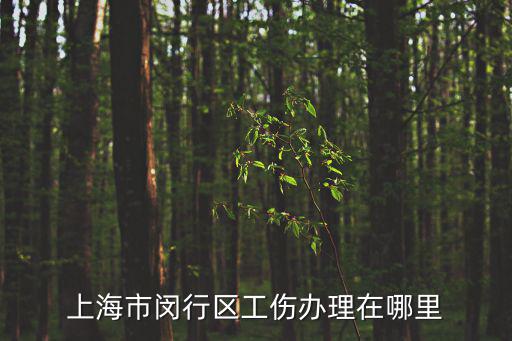 上海市閔行區(qū)工傷辦理在哪里
