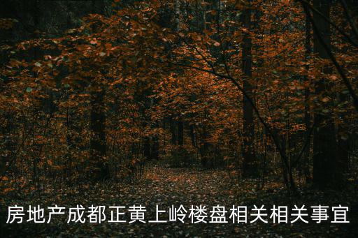 房地產成都正黃上嶺樓盤相關相關事宜