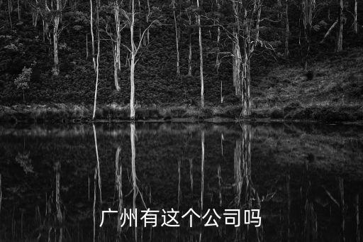 廣州有這個公司嗎