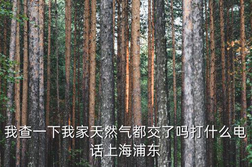 我查一下我家天然氣都交了嗎打什么電話上海浦東