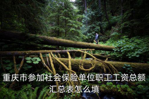 重慶市參加社會保險單位職工工資總額匯總表怎么填