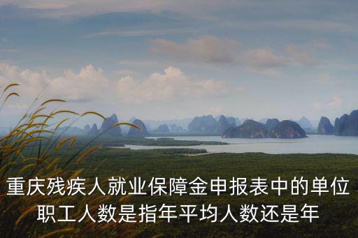 重慶殘疾人就業保障金申報表中的單位職工人數是指年平均人數還是年