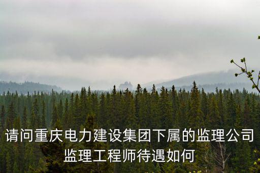 請問重慶電力建設集團下屬的監理公司監理工程師待遇如何