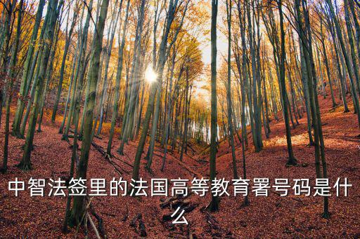 中智法簽里的法國高等教育署號碼是什么
