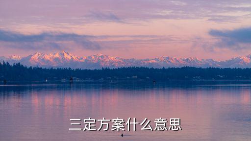三定方案什么意思