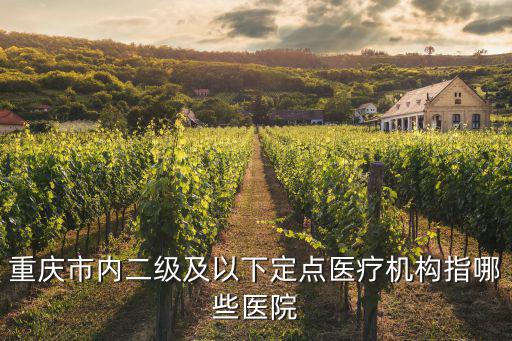 重慶市內二級及以下定點醫療機構指哪些醫院