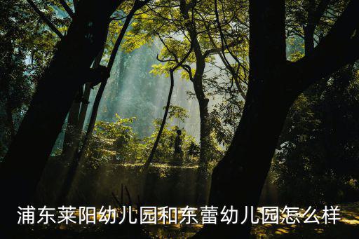 上海市東蕾幼兒園，浦東萊陽幼兒園和東蕾幼兒園怎么樣