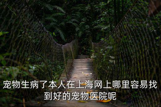 寵物生病了本人在上海網上哪里容易找到好的寵物醫院呢