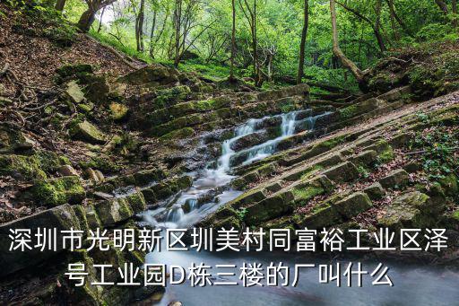 深圳市光明新區圳美村同富裕工業區澤號工業園D棟三樓的廠叫什么